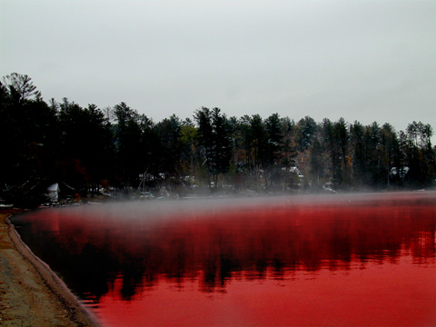 Lake of blood with evanescent fog on the shore of a forest